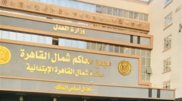 القضاء المصري يؤيد حكم السجن المشدد 7 سنوات لمتهم في جريمة سوق العبور